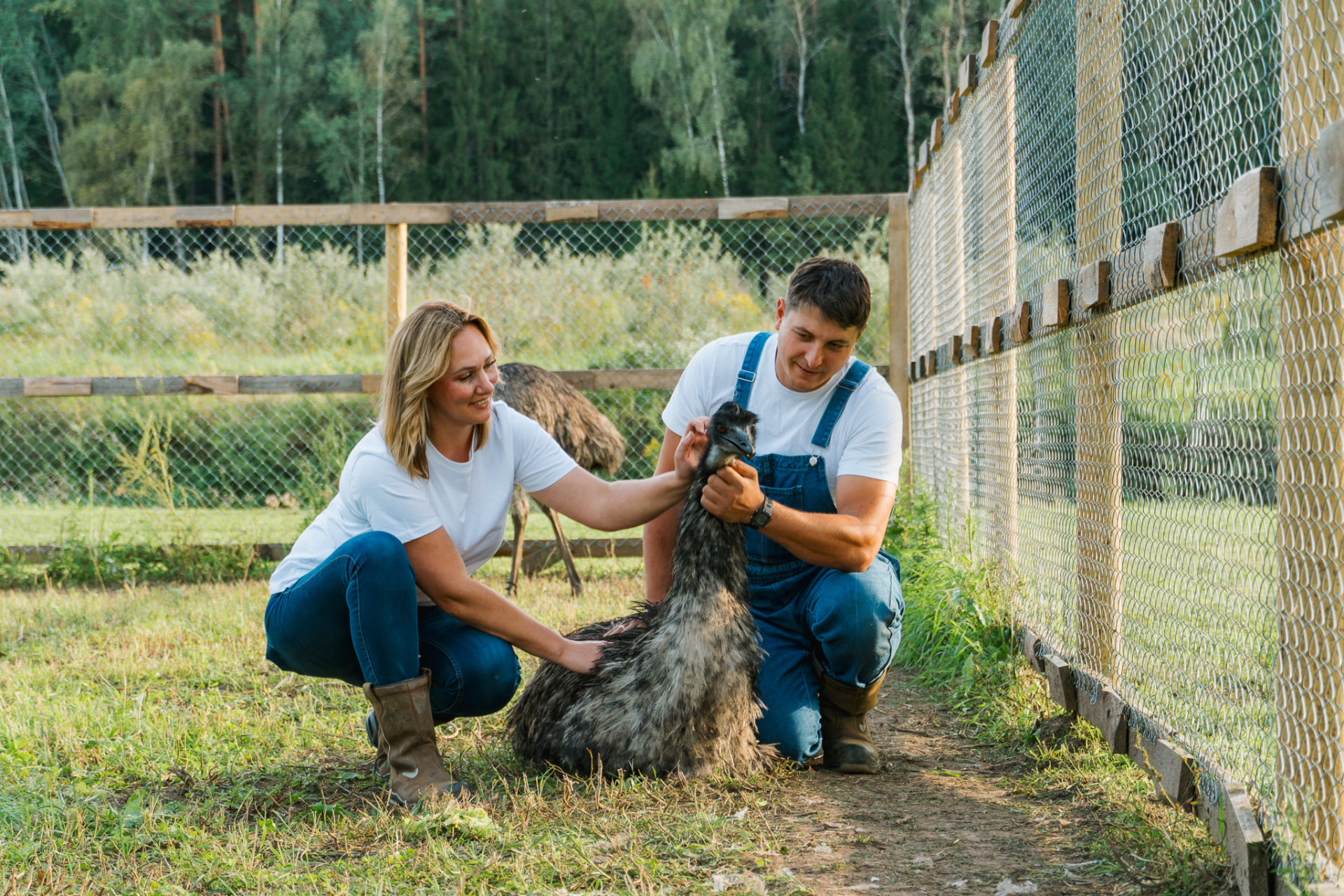 EMULAT saimnieki kopā ar emu saimniecībā